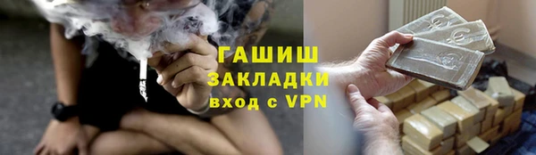 шишки Бикин