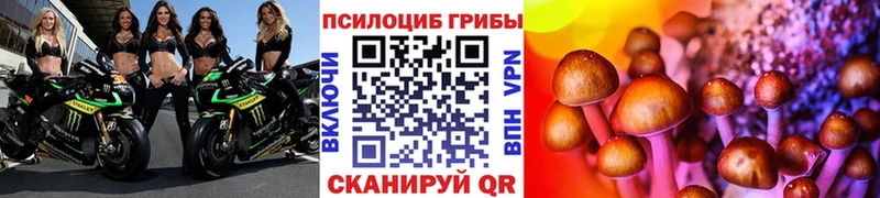 Псилоцибиновые грибы Magic Shrooms  Пыталово 